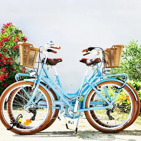 Boinot Le Château-dʼOléron