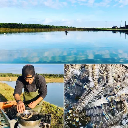 Boinot * Le Château-dʼOléron
