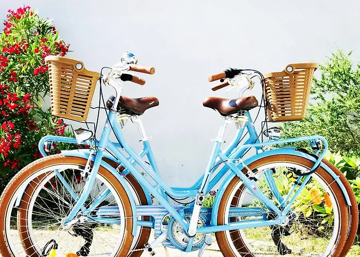 Boinot Le Château-dʼOléron