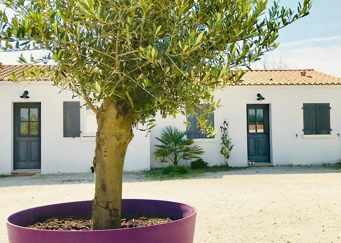 Boinot * Le Château-dʼOléron